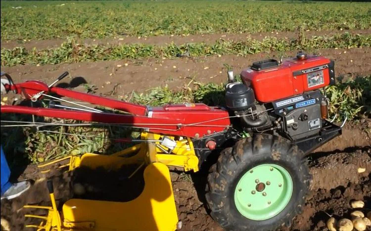 potato harvester(001)